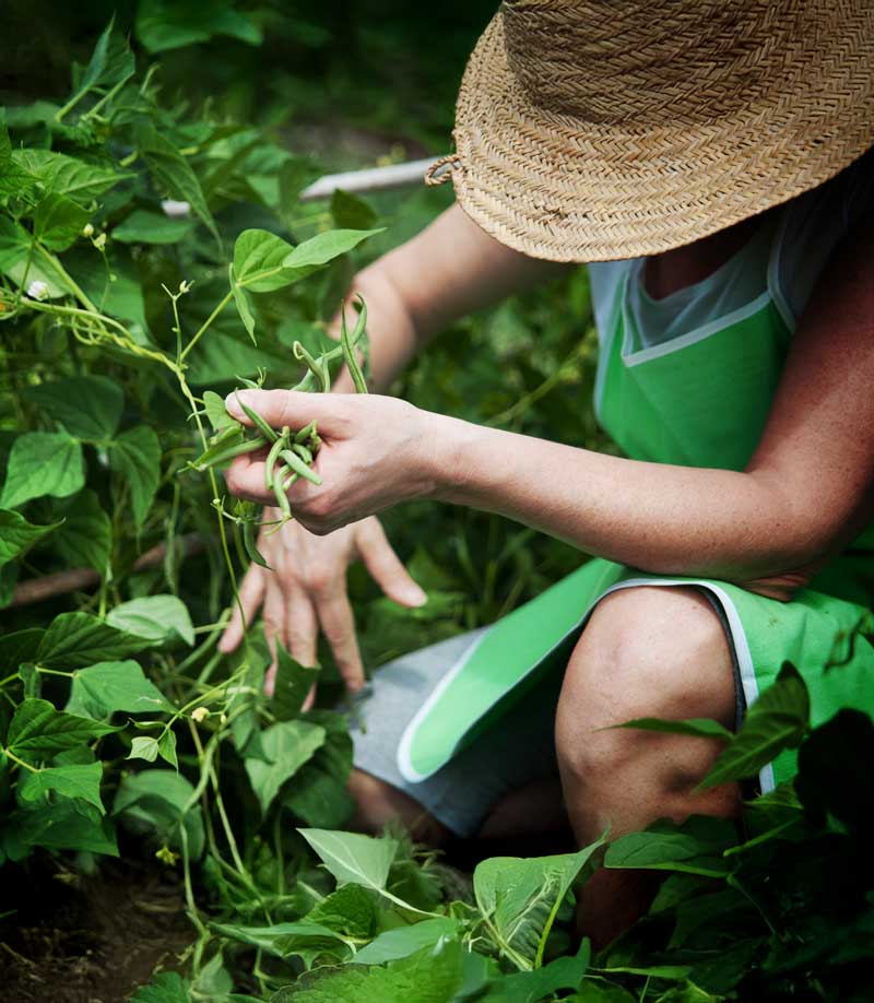 Fournisseurs de FL de Simone, Paris
