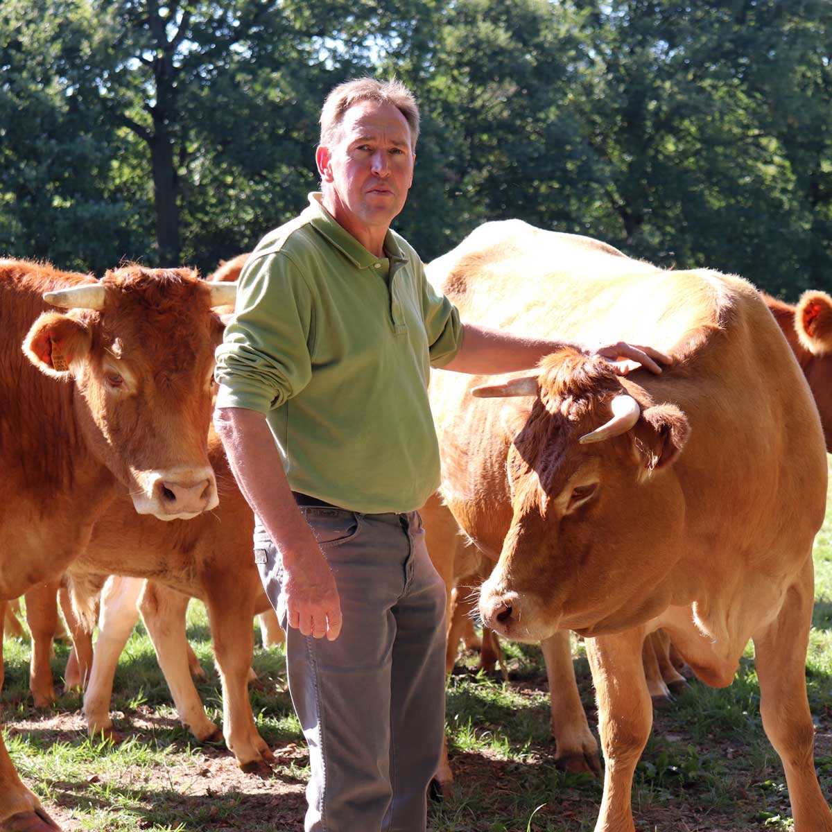 Fournisseurs de Viandes de Simone, Paris